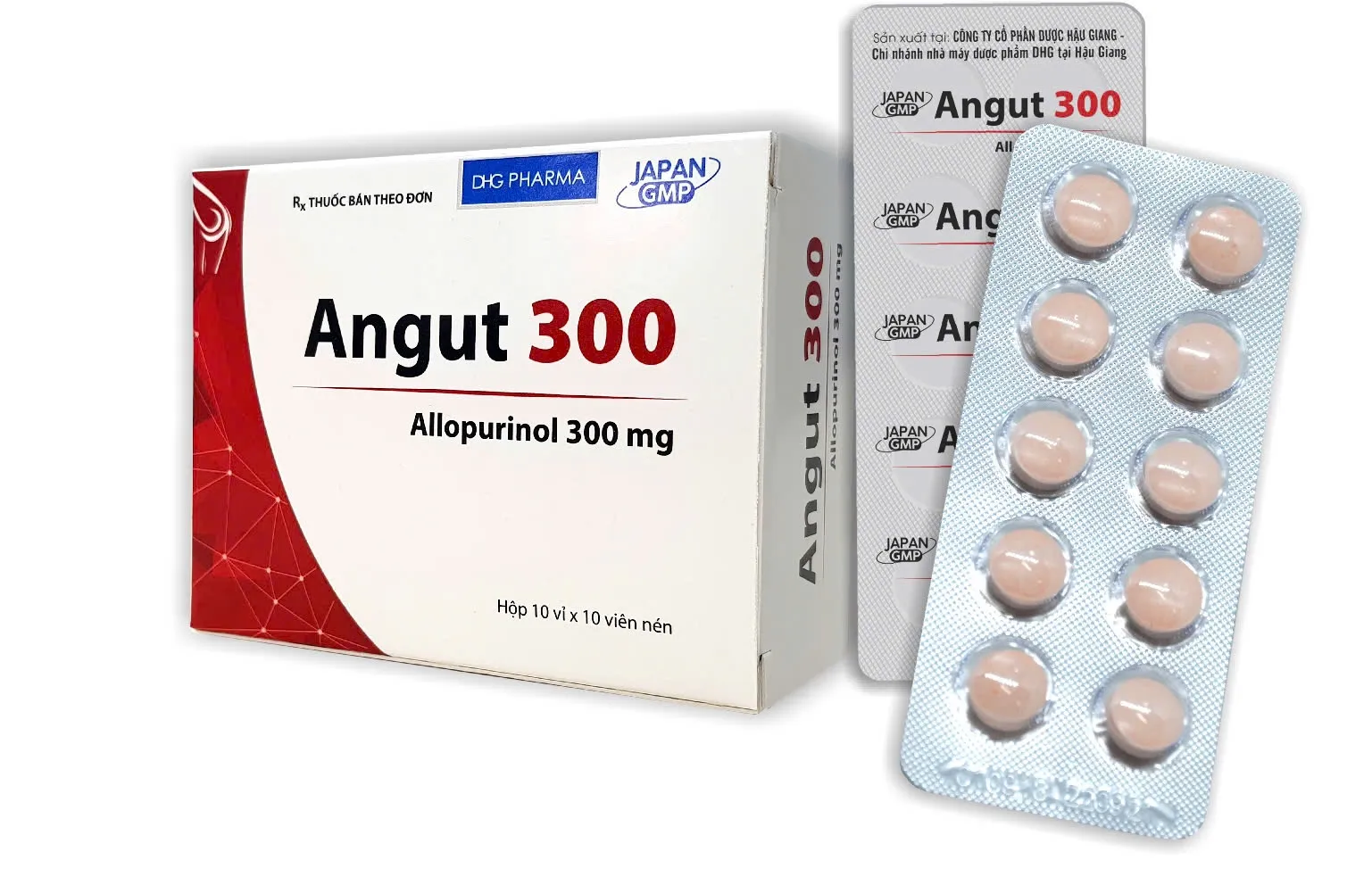 Angut 300mg DHG (H/100v) - Thuốc giảm sự hình thành acid uric, điều trị sỏi thận (10 vỉ x 10 viên)